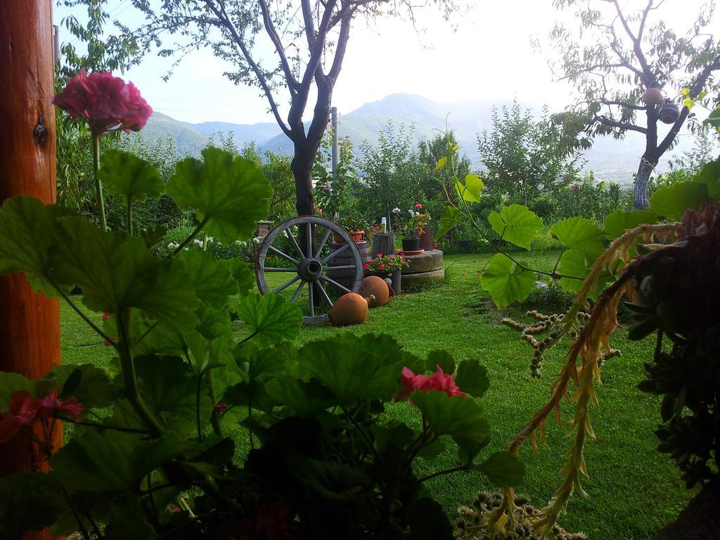 Къща За Гости Каза Роза - Swiss Style Chalet Casa Rosa Guest House Kyustendil Room photo